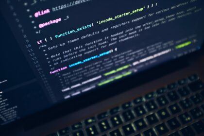 WordPress Nulled Themes: Should You Use Them
