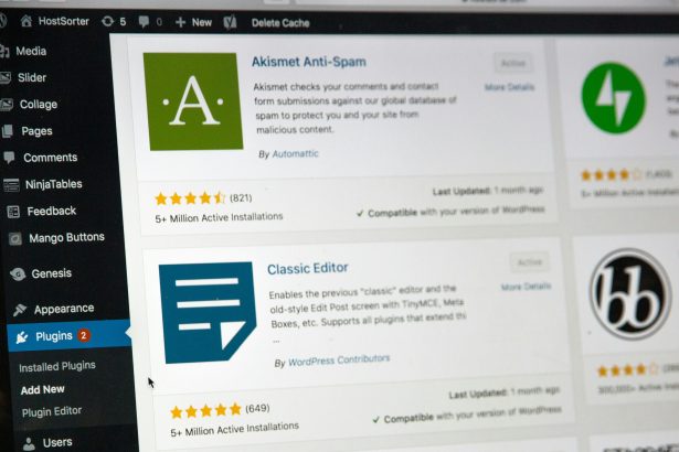 WordPress plugins to increase your performance