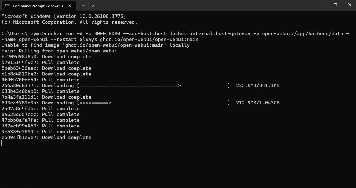 Installing WebUI in Docker - Download Assets