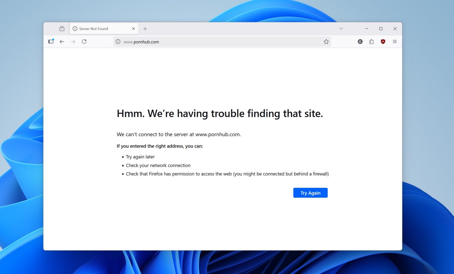 Block Adult Content Websites