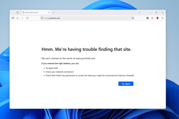 Block Adult Content Websites